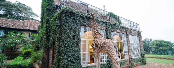 Giraffe Manor, Nairobi, Kenya